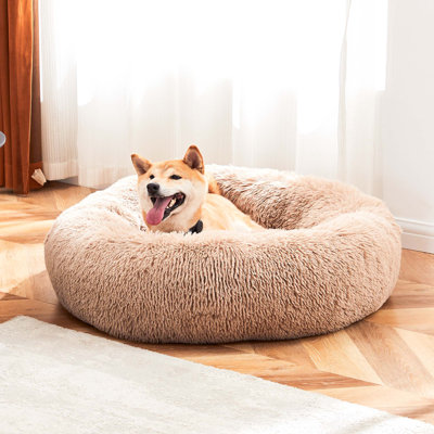 Nicole miller home dog bed hotsell